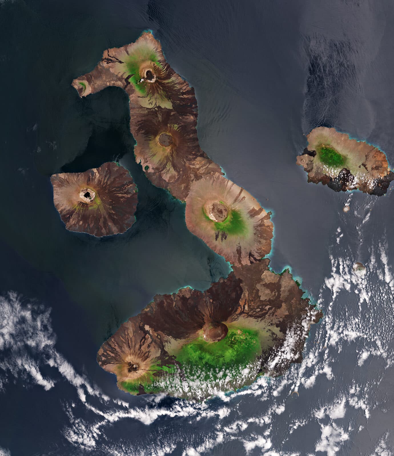 Galápagos