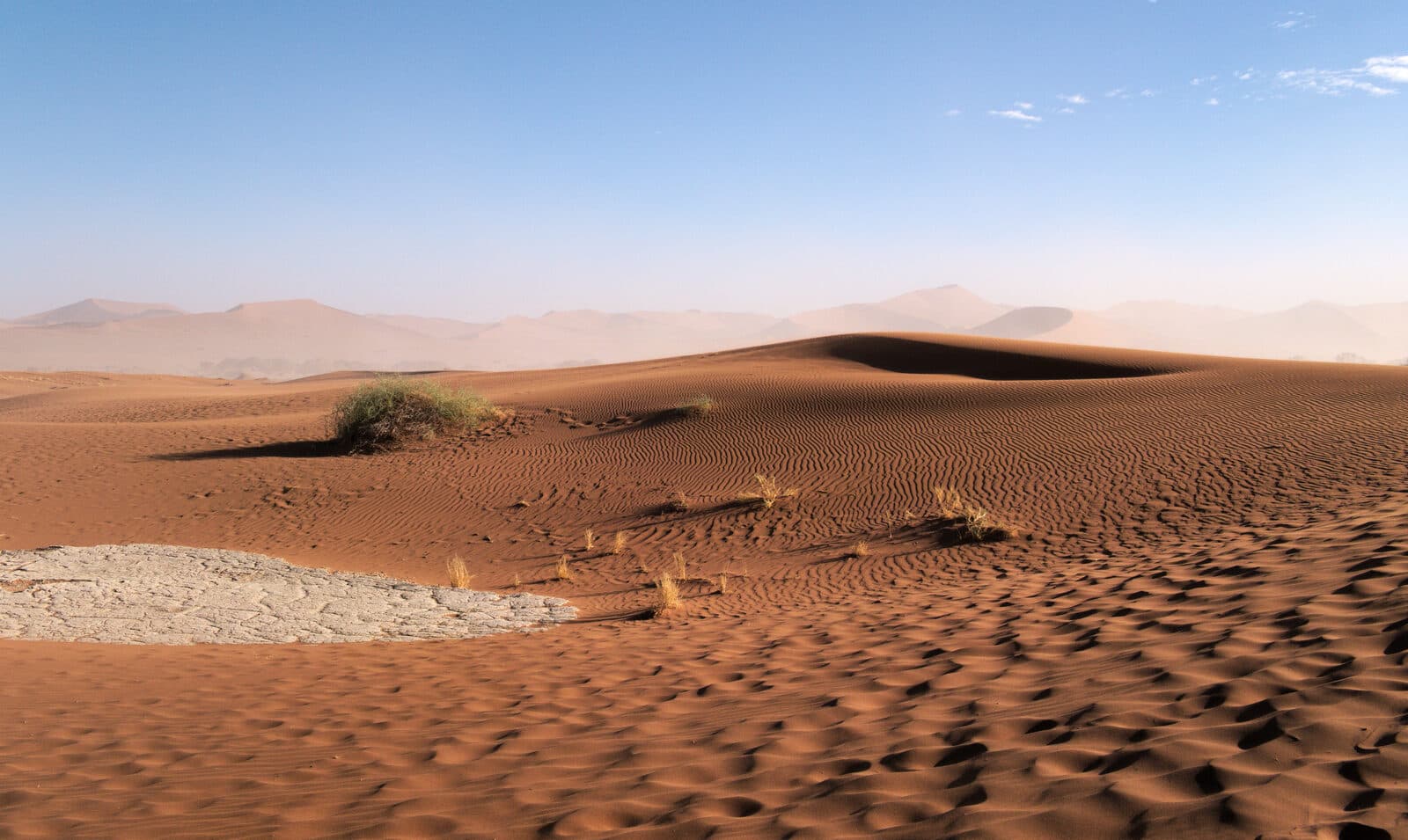 Désert du Namib