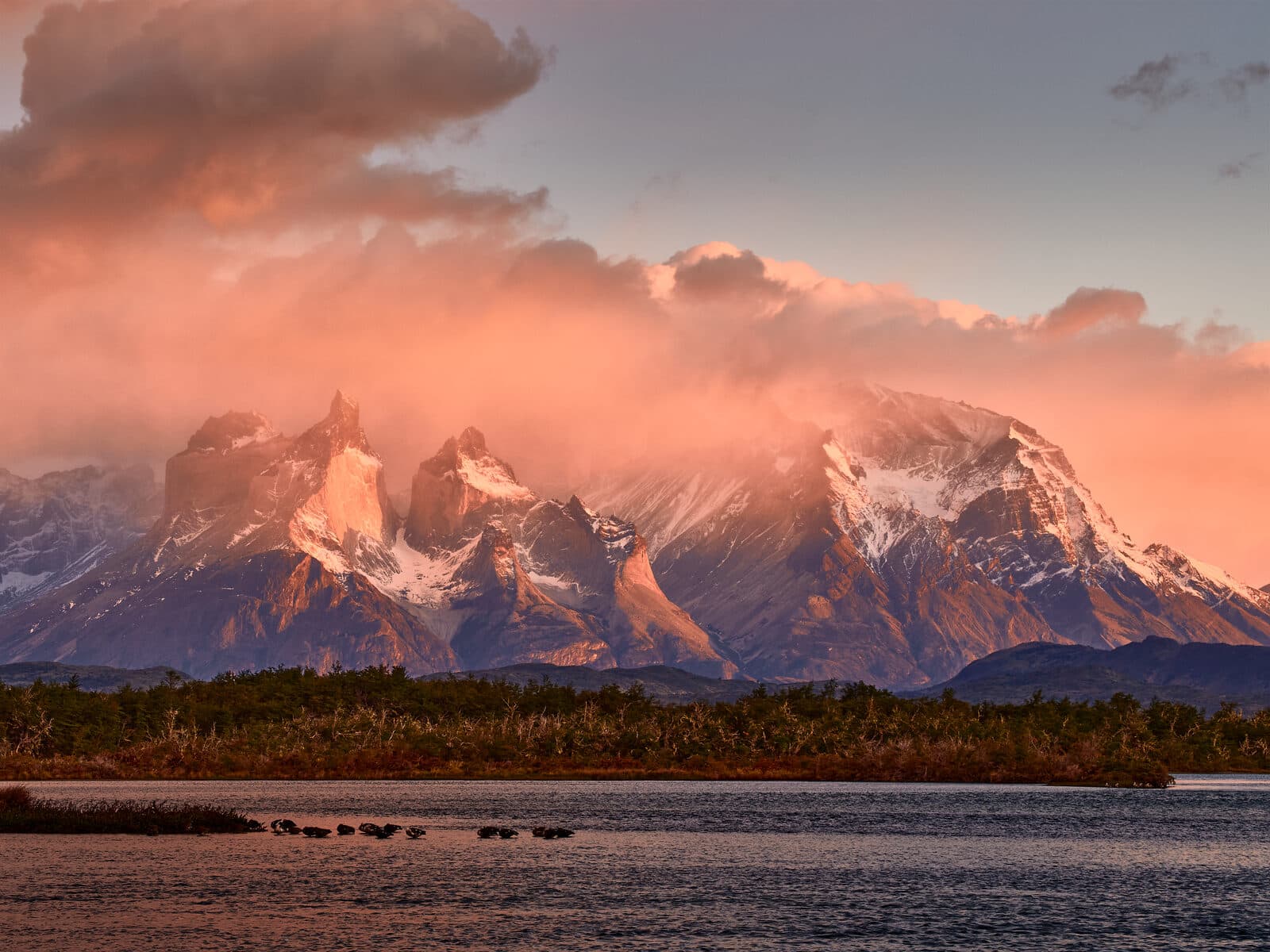 Patagonie