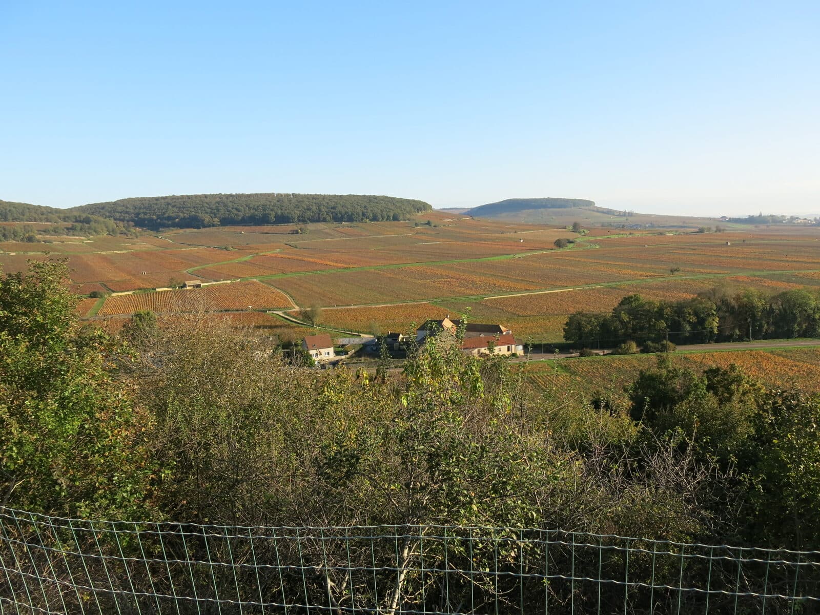 Maison Louis Jadot